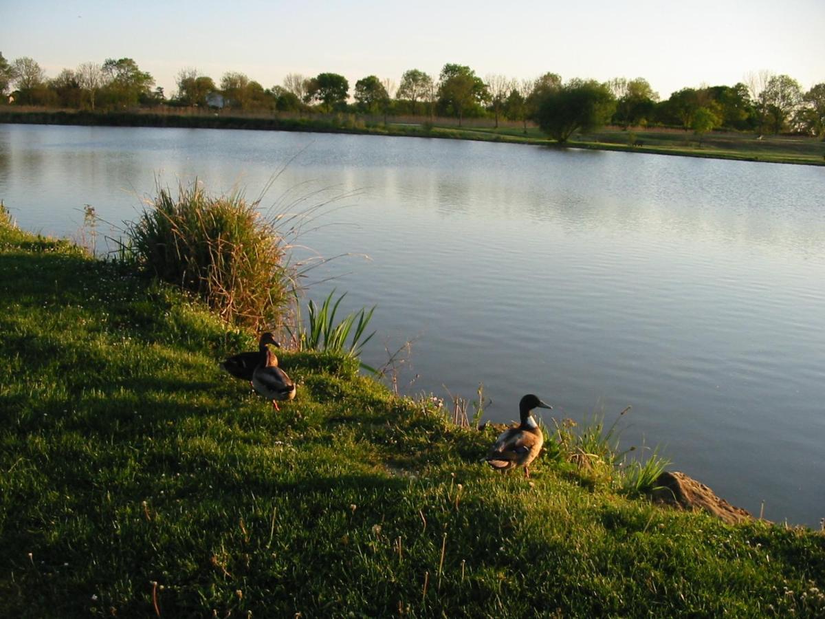 Camping Du Lac De Saujon Zewnętrze zdjęcie